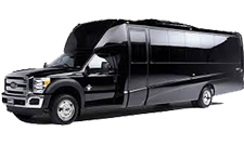 Comfortable Mini Coach for Group Tours and Transfers in Los Angeles