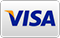 Visa Card